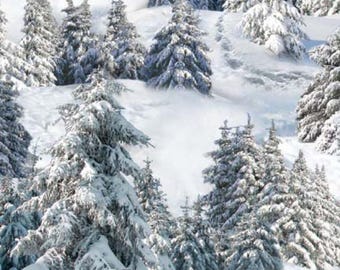 Snowy Evergreen Tree Landscape Medley Fabric Cotton Quilting Material Christmas Sewing Winter Woodland Pine Forest Scenic Print Elizabeths