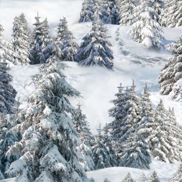 White Snow Pine Trees North American Wildlife Collection # 215E-WHT Landscape Medley, Elizabeth’s Studio 100% Cotton Quilting Fabric