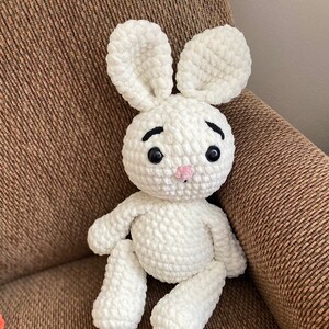 Bunny