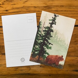Lot de 3 cartes postales Ours des forêts