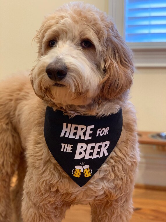 Dog beer bandana Clearance