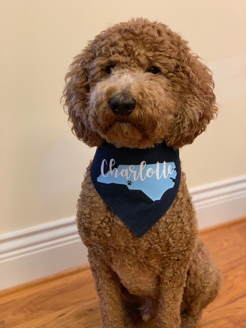 Charlotte Dogs Bandana CLT Doods Dogs of North Carolina Etsy