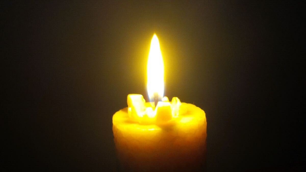 Beeswax Candles Solid Bee Pair 3.5x10.5cm. Pure Scottish