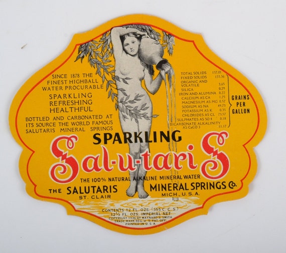 St Vintage *UNUSED* Hudson/'s Ginger Ale bottled by Salutaris Mineral Springs Co