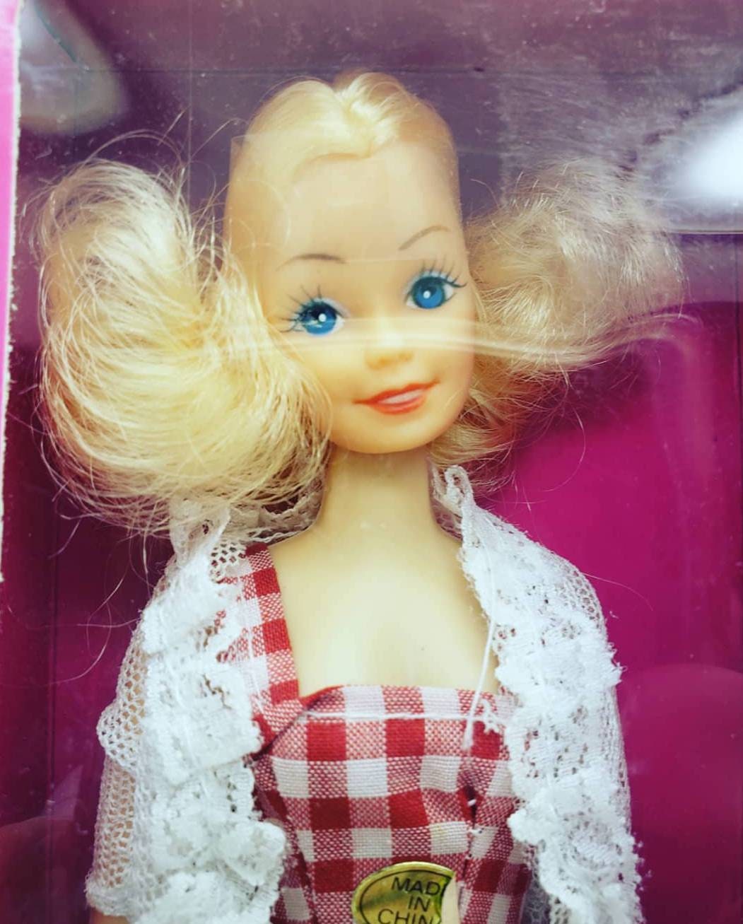 Vintage Retro 1980s Nostalgia Rare Miss Anita Rooted Short Blonde Hair  Picnic Checkered Red Dress Painted Eyes Fashion Plastic Barbie Doll -   Canada