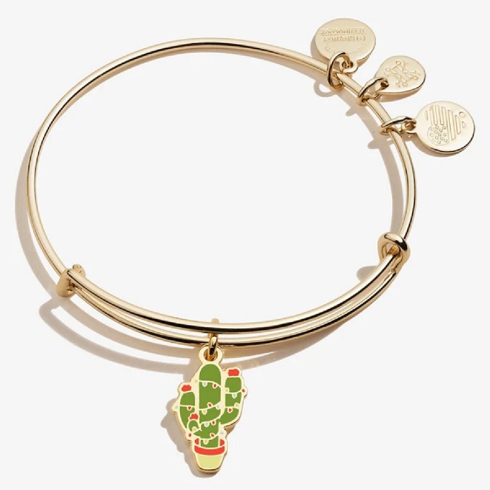 Alex and Ani Fall in Love Color Infusion Charm Bangle Bracelet - Shiny Gold  Finish