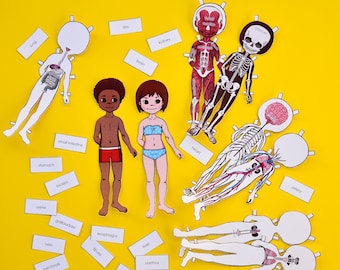 Printable Anatomy Paper Dolls