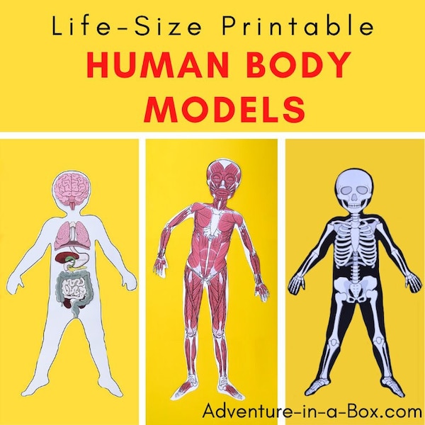 Printable Human Body Template