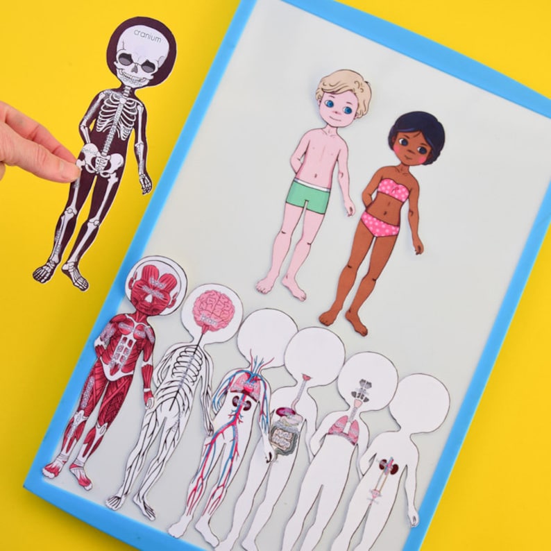 Printable Anatomy Paper Dolls Etsy