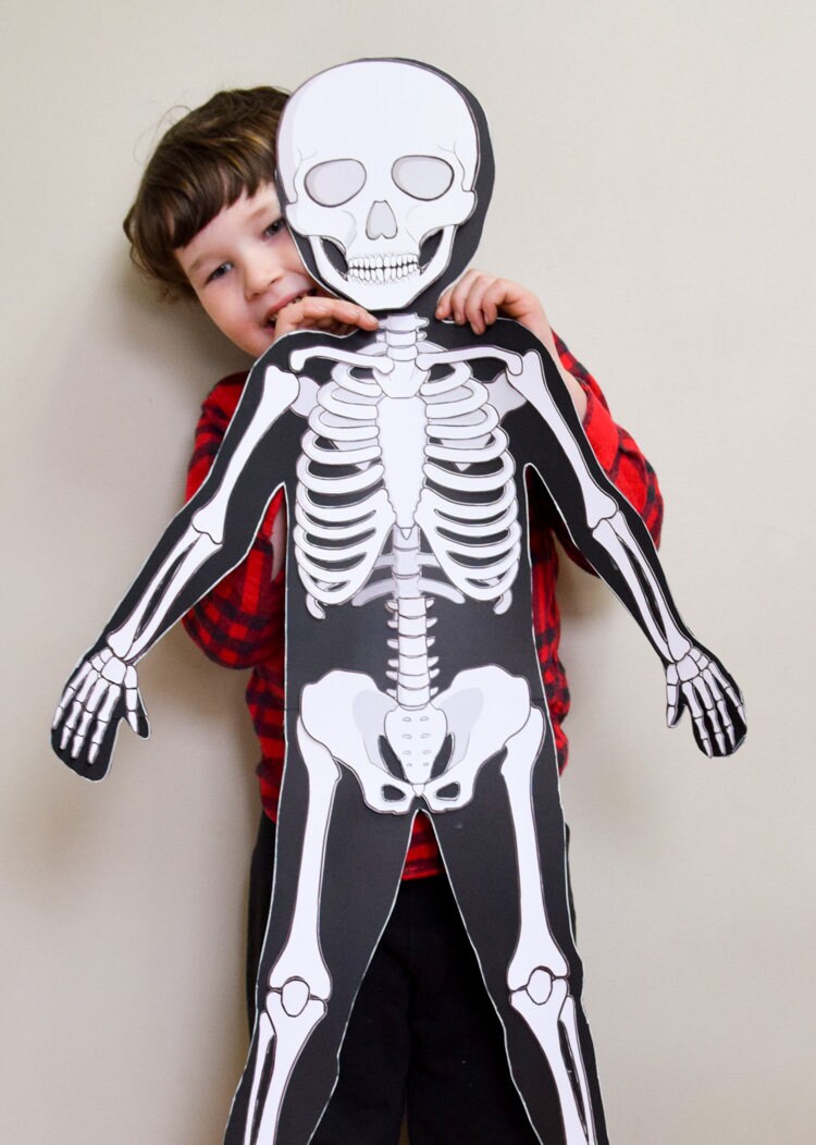 Printable Human Body Template - Etsy