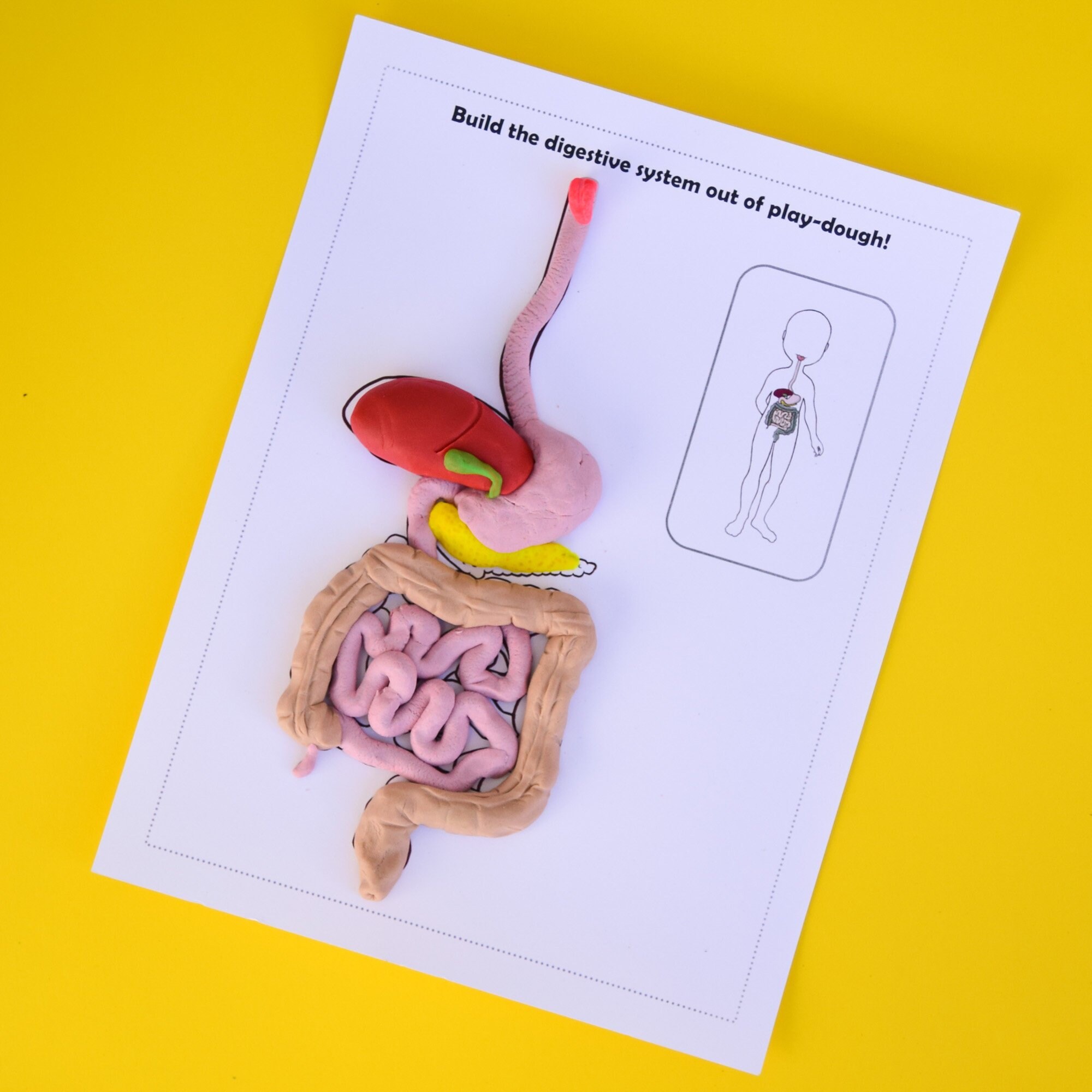 Printable Human Body Playdough Mats - Etsy printable-human-body-playdough-mats-etsy