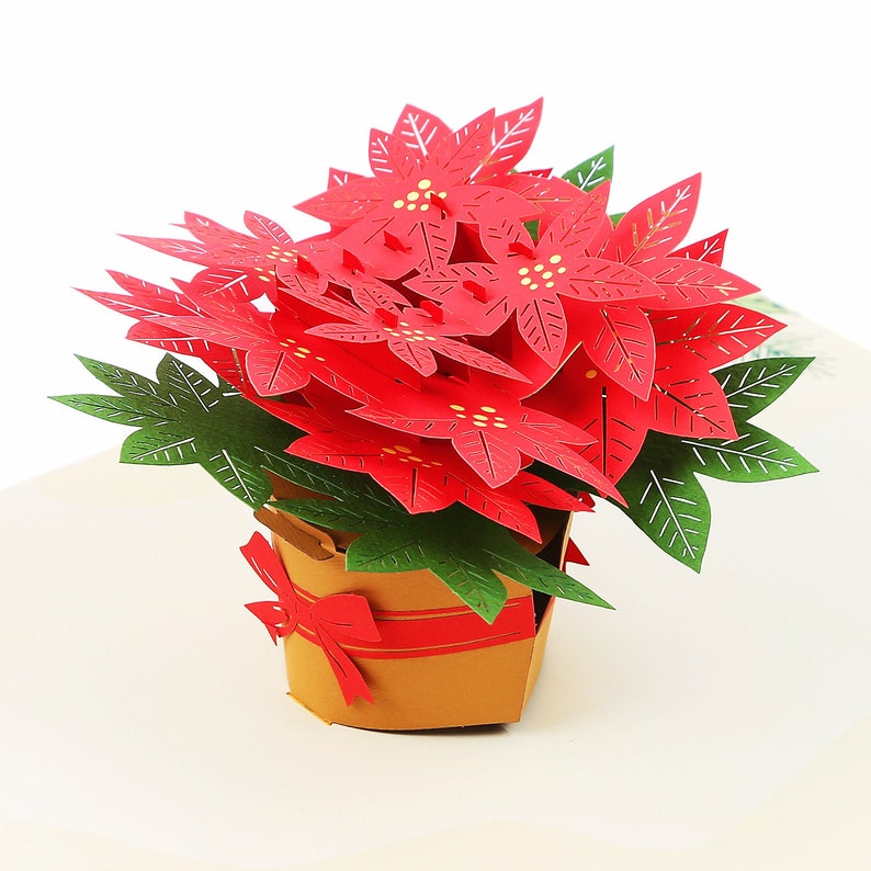 Liif Poinsettia Christmas Card, 3D Greeting Pop Up Christmas Card, Xmas Card, Holiday Card, Xmas Card, Happy Christmas Card image 7