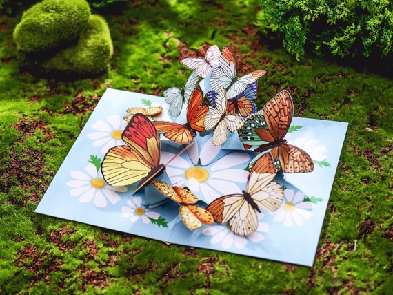 Tarjeta Emergente, Mariposa Y Flor 3D Con Sobre Para Cualquier
