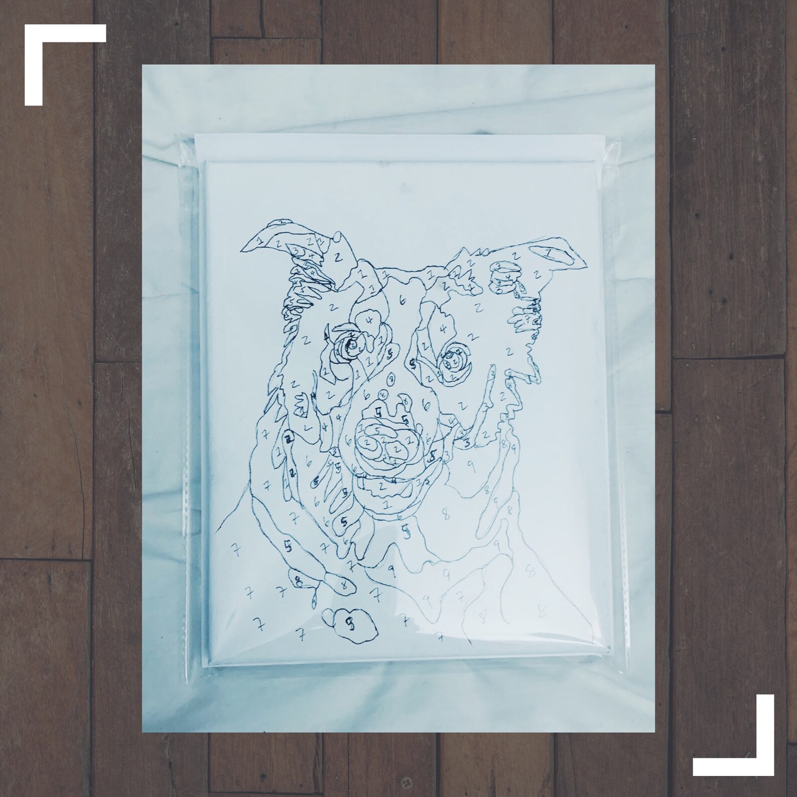 Custom Paint by Numbers Pet Portrait Kit Intermediate Etsy