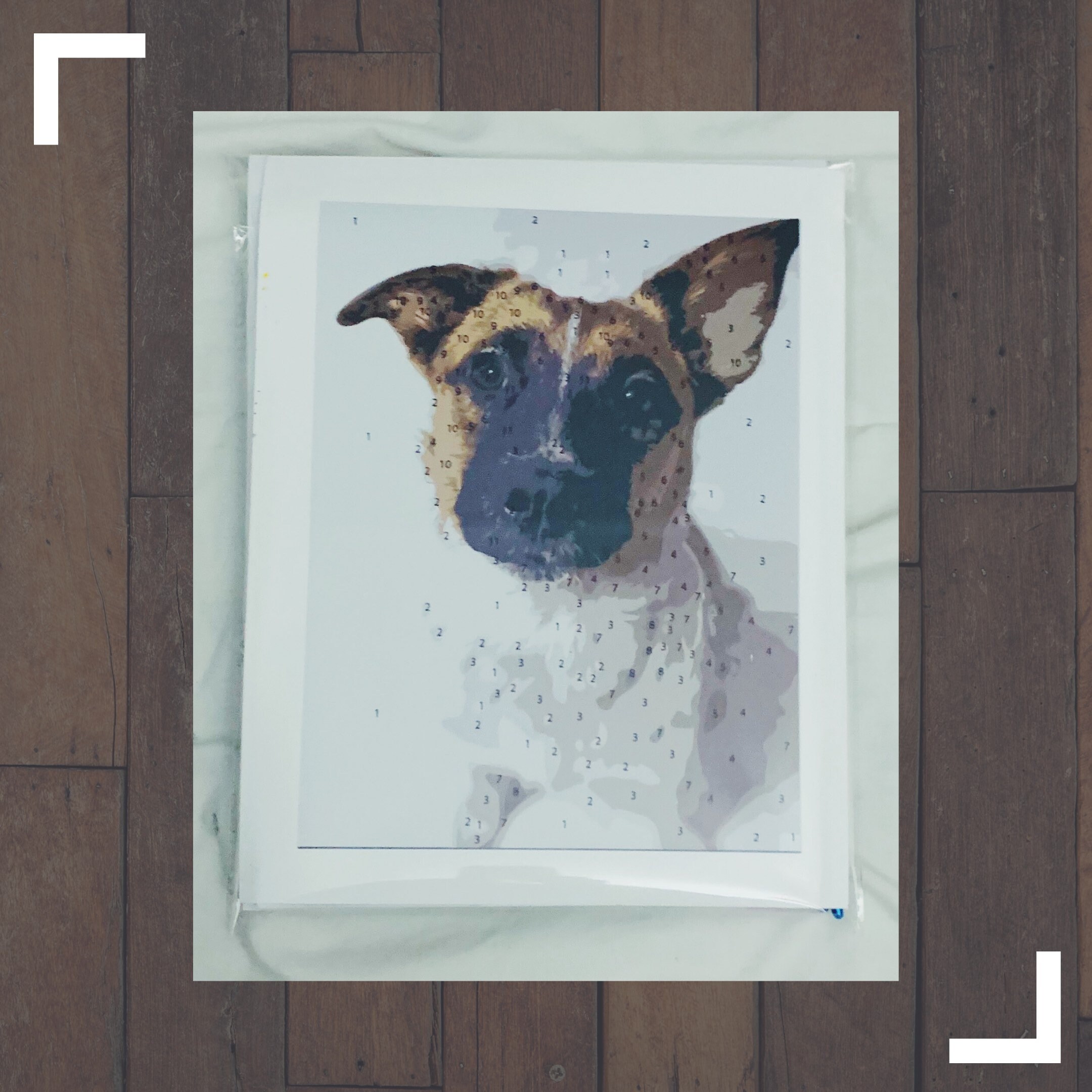 Custom Paint by Numbers Pet Portrait Kit Basic Etsy