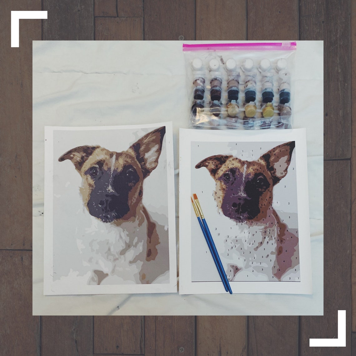 Custom Paint by Numbers Pet Portrait Kit Basic Etsy