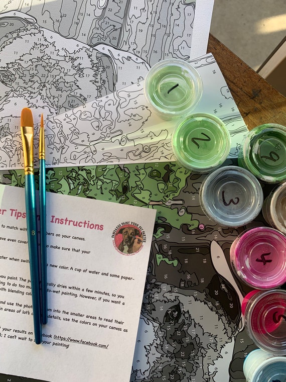 pintar por kits de numeros etsy