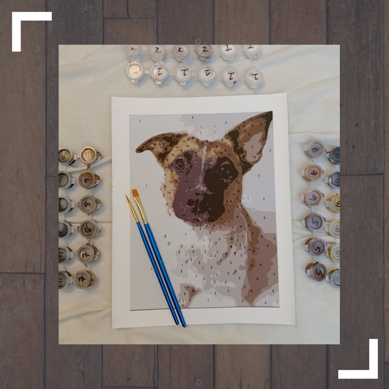 Custom Paint by Numbers Pet Portrait Kit Basic Etsy