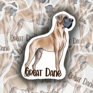 Great Dane Illustration Vinyl Sticker  for Laptop, Water Bottle, Skateboard, Phone Case, etc.