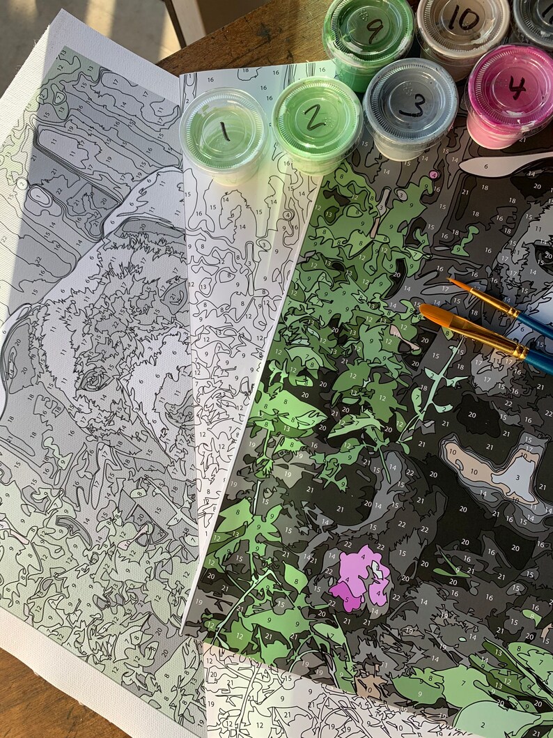 Custom Paint by Number Kit Advanced Etsy