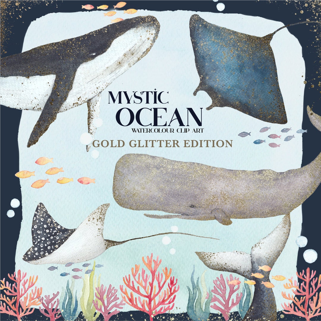 Watercolour Ocean Sea Animals Clip Art - Etsy