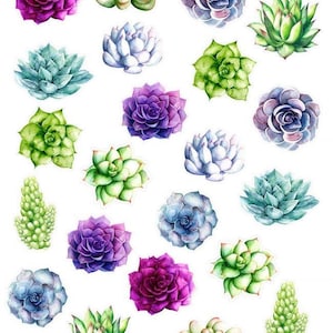 Lotus Flower Succulent Sticker Pack Set Mystery Box Surprise Pack Sticker Bomb
