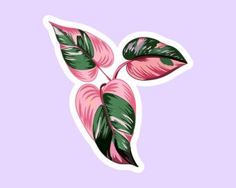 Pink Princess Philodendron Sticker - Rare Plant Stickers