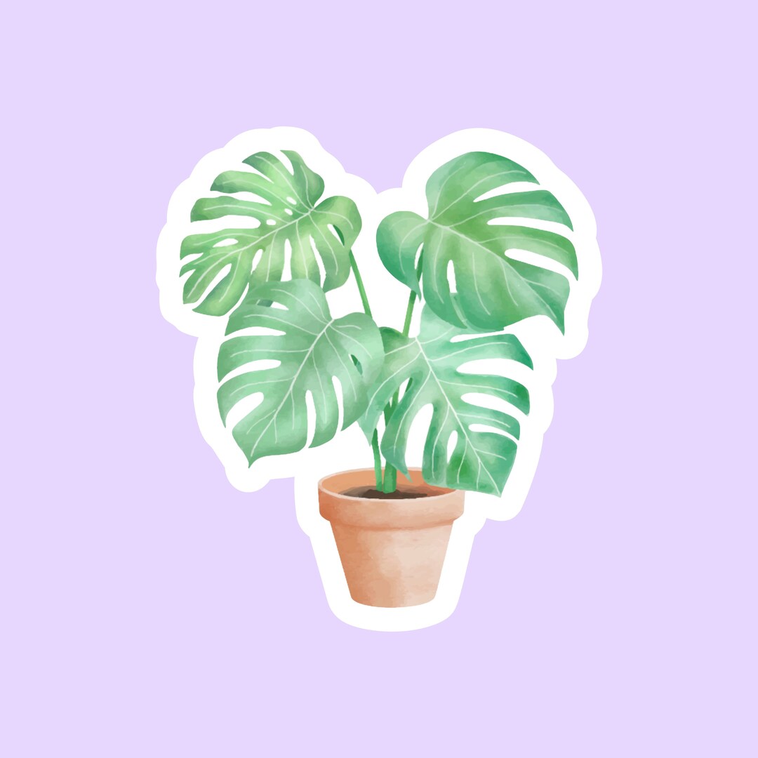 Monstera Plant Sticker, Monstera Leaf Sticker, Die Cut Sticker ...