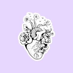 Pegatina de corazón anatómico, pegatinas médicas, estudiante de enfermería, pegatina de libro de recuerdos, estudiante de medicina, cardíaca, pegatinas troqueladas