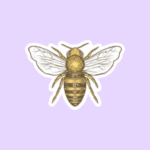 Könnte beinhalten: Ein Aufkleber mit einer detaillierten Illustration einer Biene mit ausgebreiteten Flügeln. Die Biene ist im Vintage-Stil mit braunen und gelben Farben gezeichnet.