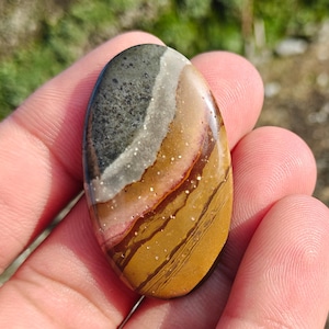 May include: A polished, oval-shaped stone with a blend of colours. The top is dark grey, fading to white, then light brown, and a golden-brown base with dark brown stripes. The stone is held in a hand.