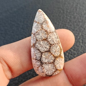 Natürlicher fossiler Korallen-Cabochon, flache Rückseite, loser Edelstein, aufwendiges Blumenmuster, tropfenförmige, achatisierte Koralle für Drahtwickelarbeiten