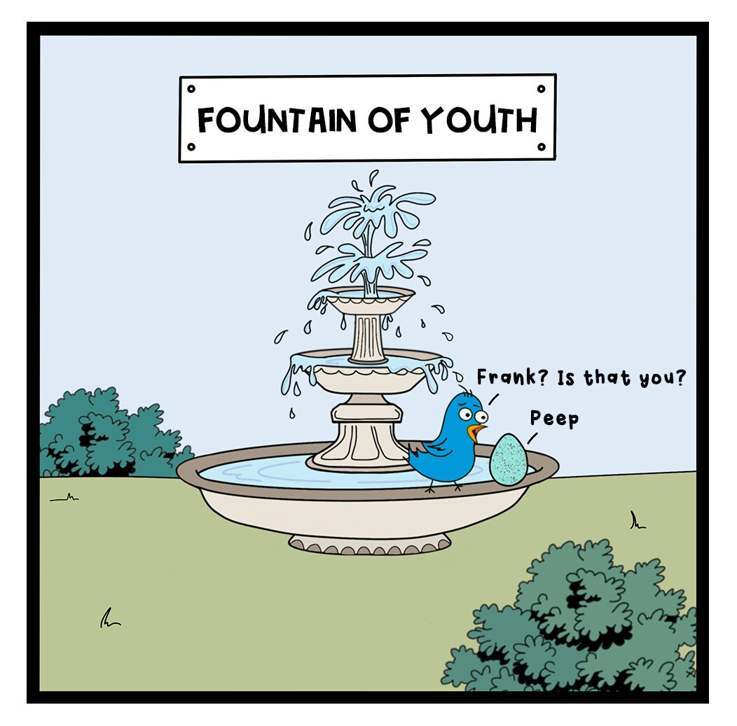 Fountain of Youth Mug Cartoon Comedy mug Birthday Gift Etsy