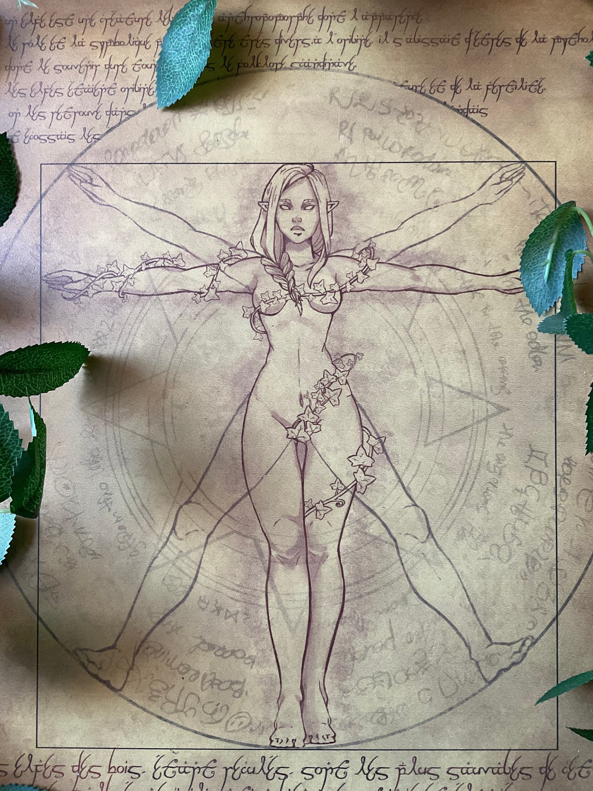 Forex - Elfe de Vitruve