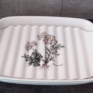 Rara ciotola di asparagi Villeroy & Boch Botanica