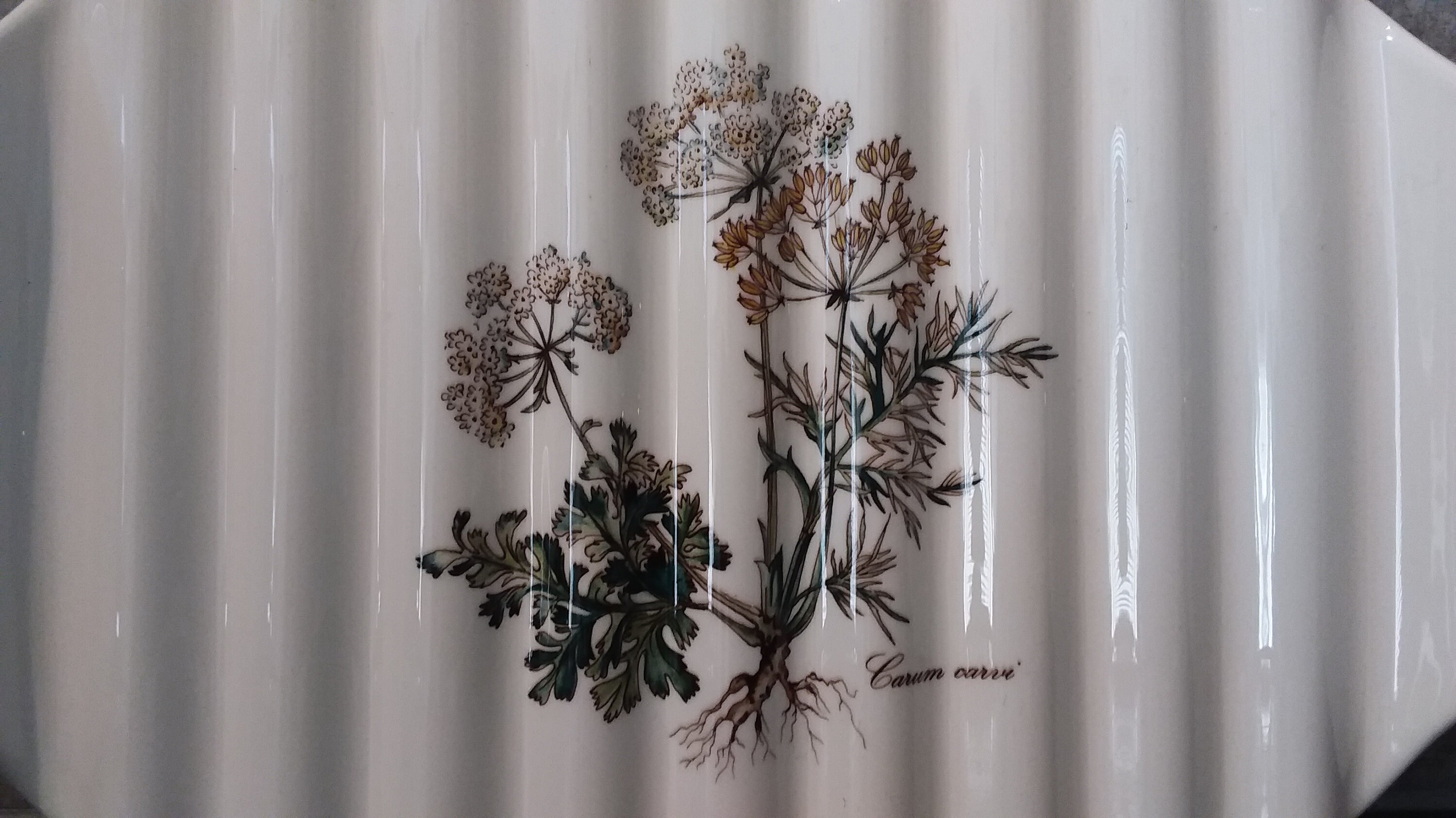 ビレロイボッホ ボタニカ ボンボニエール Lサイズ 2025年最新】ビレロイボッホ ボタニカの人気アイテム - メルカリ