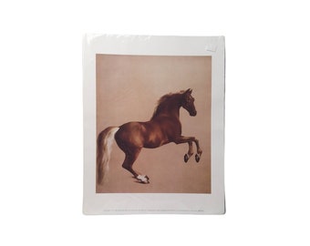 Vintage Whistlejacket Art Print by George Stubbs The Arabian Chestnut Stallion Wall Art King and McGaw UK Home Office Decor