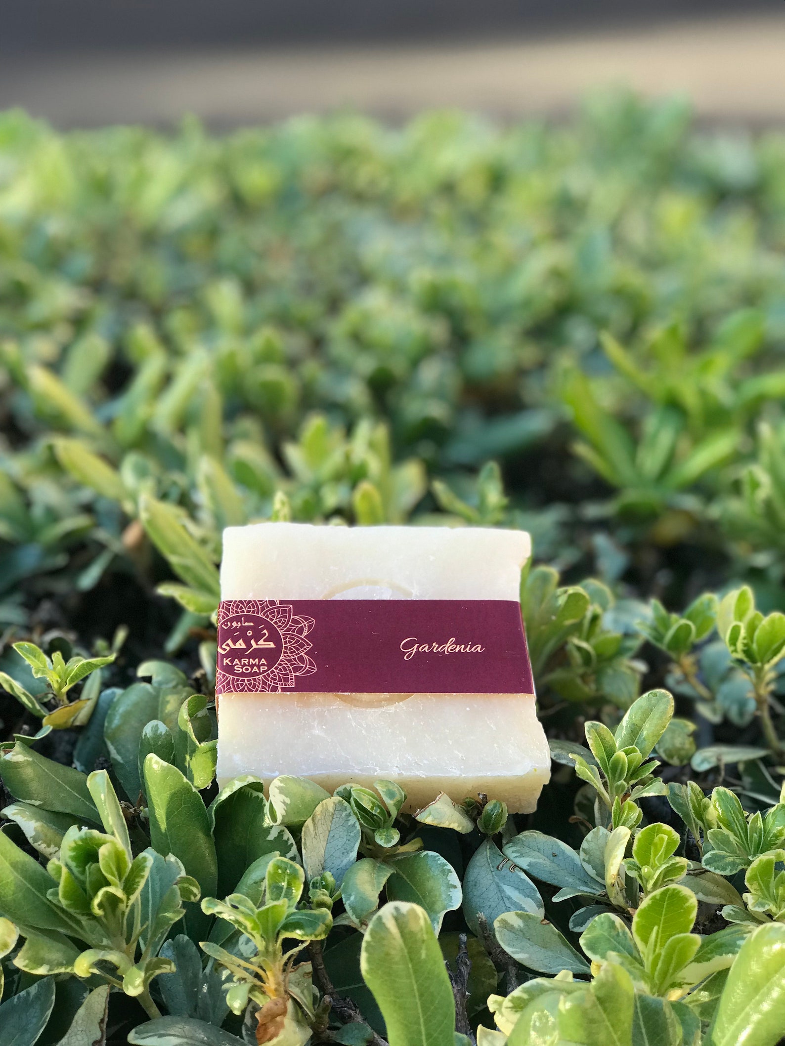 Gardenia Scented Soap Bar 4oz Natural Neutral Vegan and pH Etsy