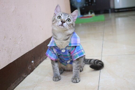 T Shirt With Blue Square Motive For Cat And Dog Persian Etsy