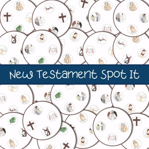 New Testament Spot It