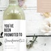 see more listings in the Étiquettes DE VIN section