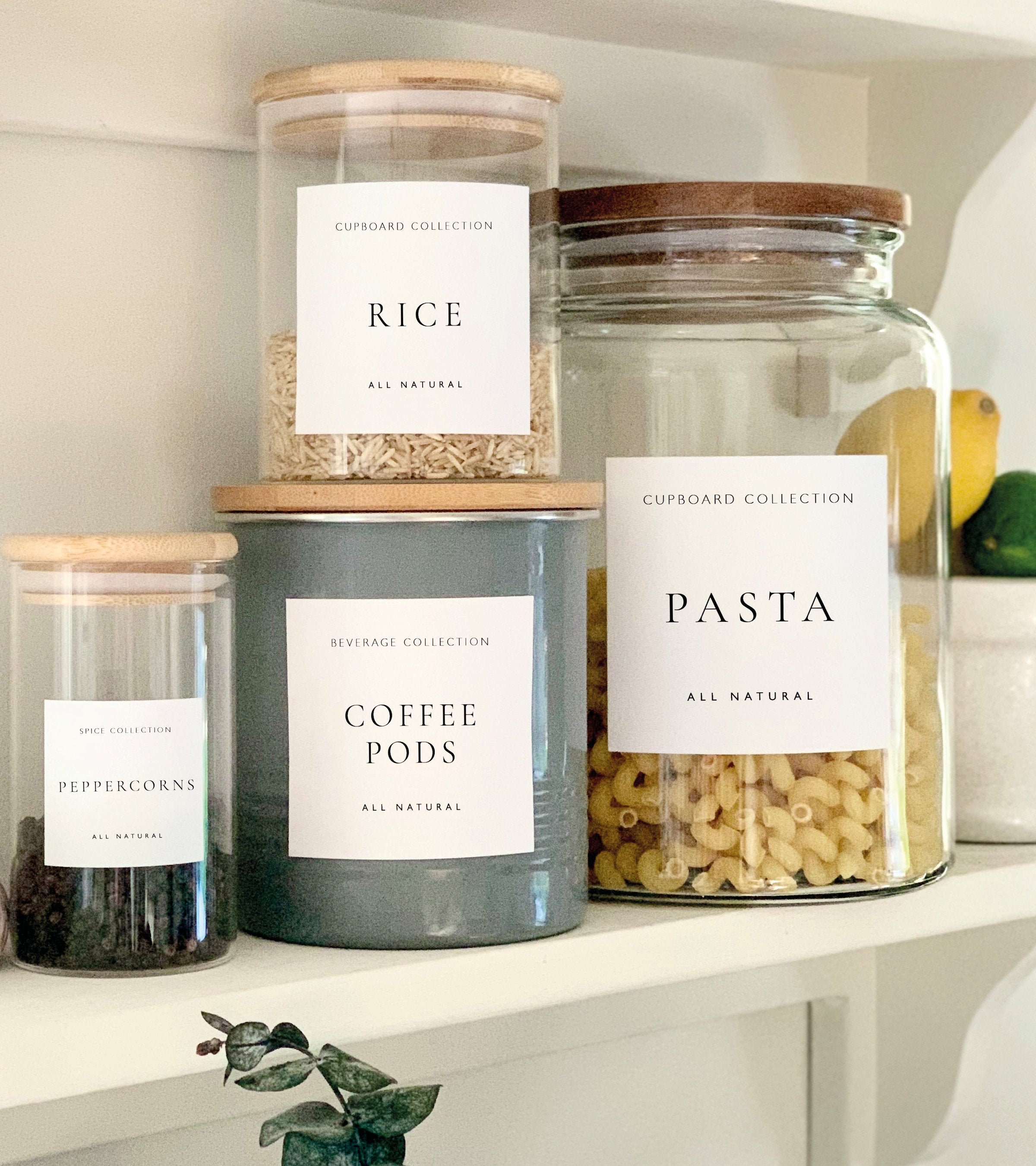 Spice Jar Labels Custom Minimalist Pantry Labels - White Matt ...