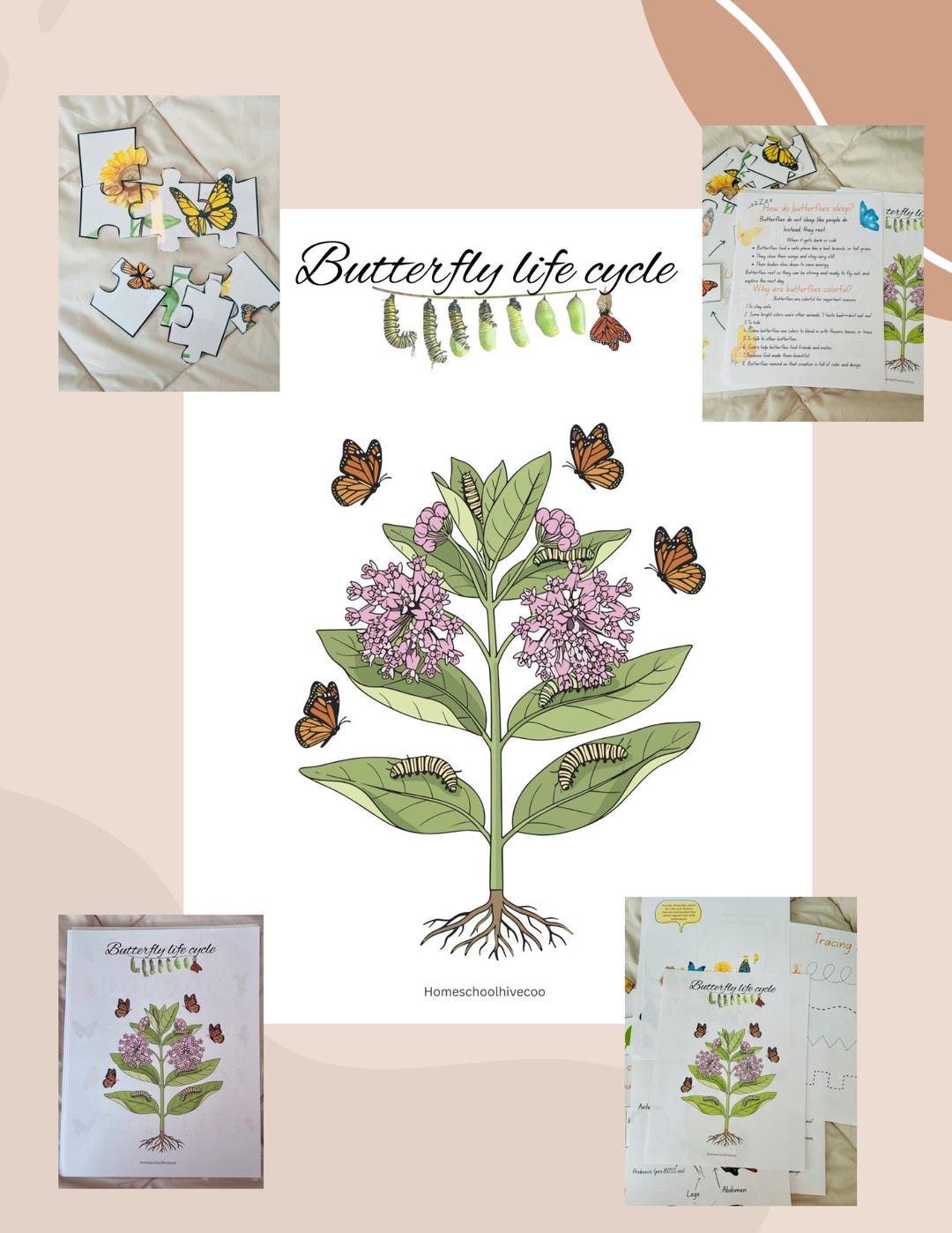 Butterfly Life Cycle Learning Pack | Hands-on Science for Kids - Etsy