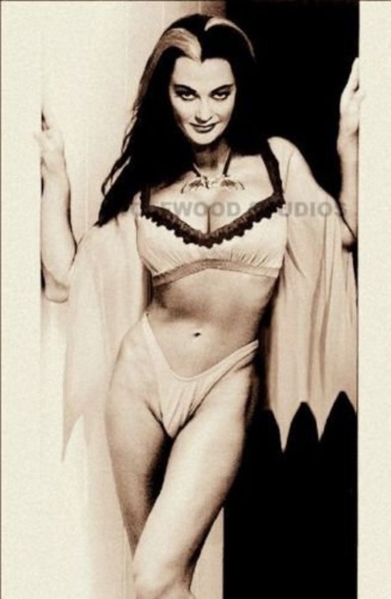 TV Land THE Munsters Yvonne DE Carlo Lily Munster Sexy Hot Actress Photo.