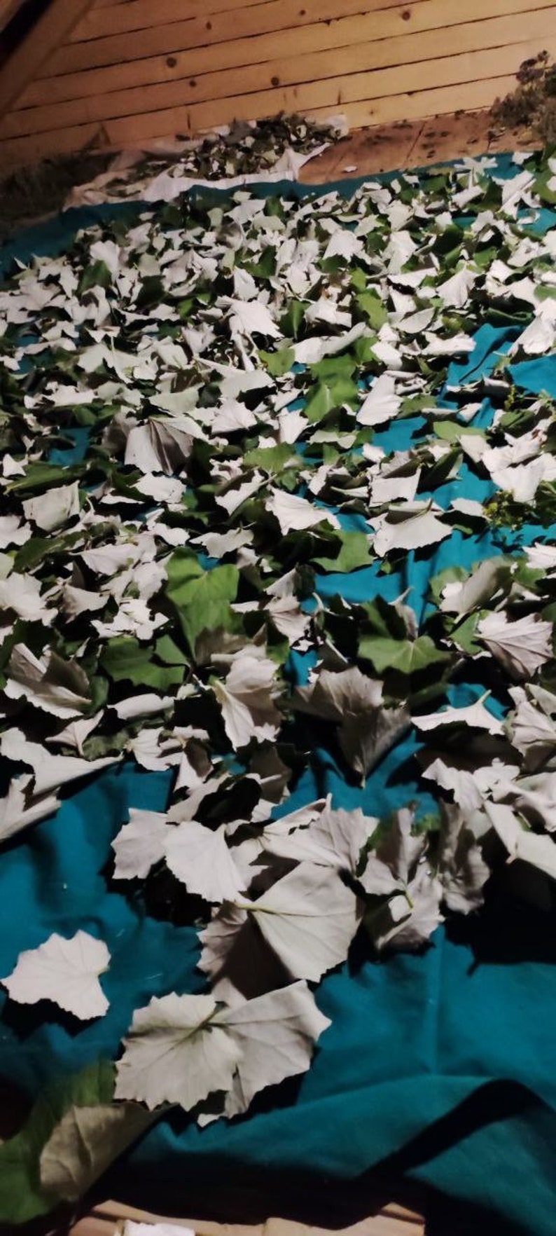 Lungs Cleanser Herbal Tea Mucus Removal Herb Tea Organic Herbal Tea for