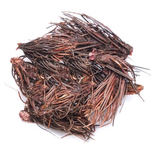 Rhodiola quadrifida | Red brush root | Wild grown from Altai |  Herbalism | Herbal teas | 2022 Harvest | 50-1000 gr | Free shipping!