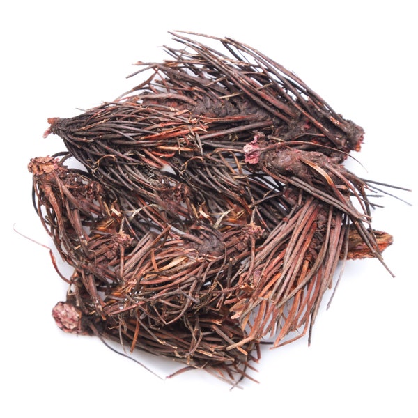 Rhodiola quadrifida | Red brush root | Wild grown from Altai |  Herbalism | Herbal teas | 2022 Harvest | 50-1000 gr | Free shipping!