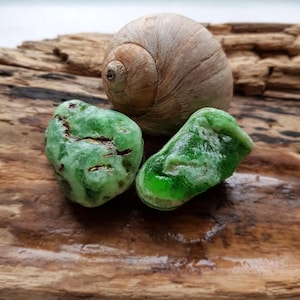 Genuine Sea Glass | Rare Bonfire Glass for Collectors