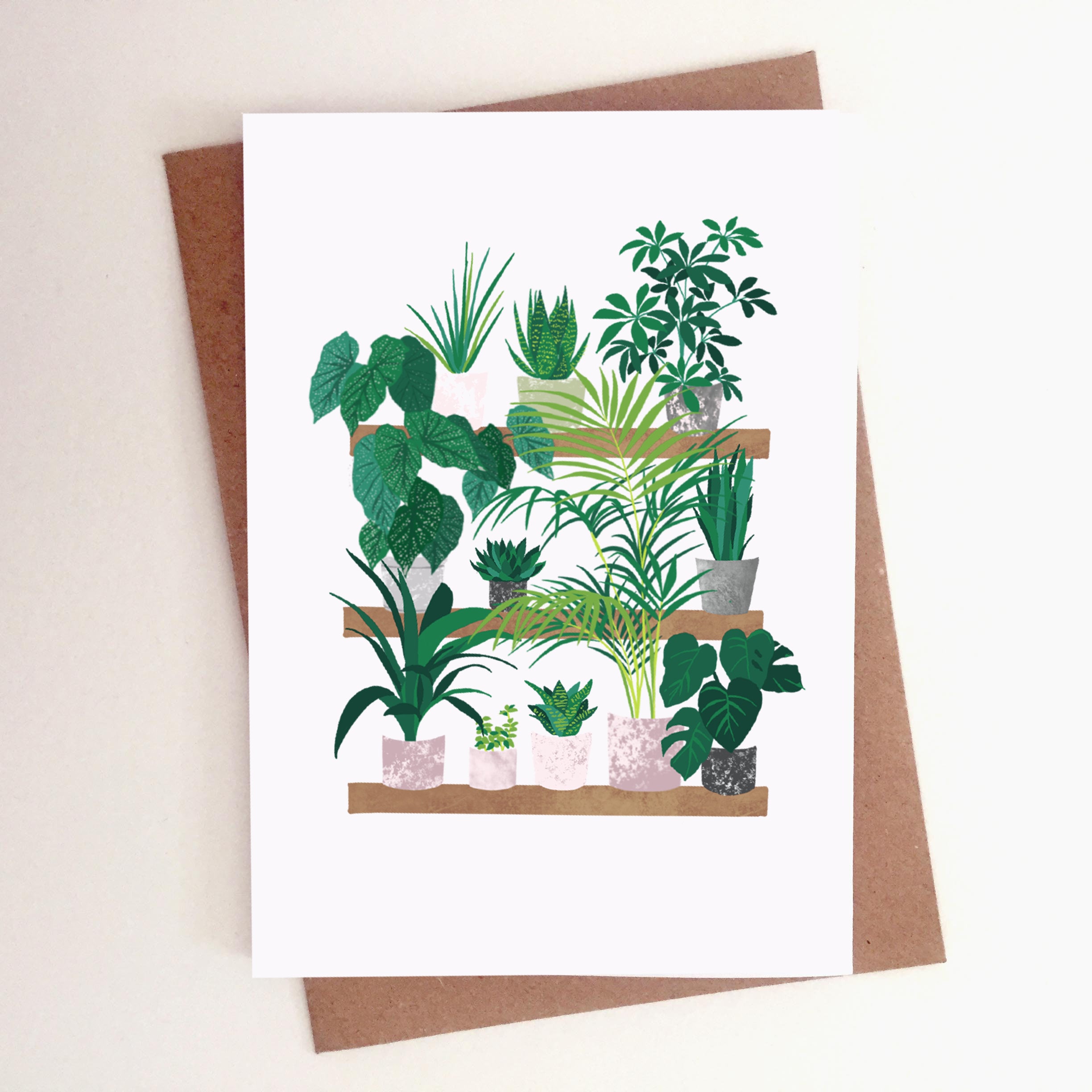 House Plants Card, Plant greetings card, Plants on shelf greetings card