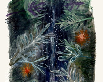 A3 Star Glazing through the Jungle Canopy Illustration Print